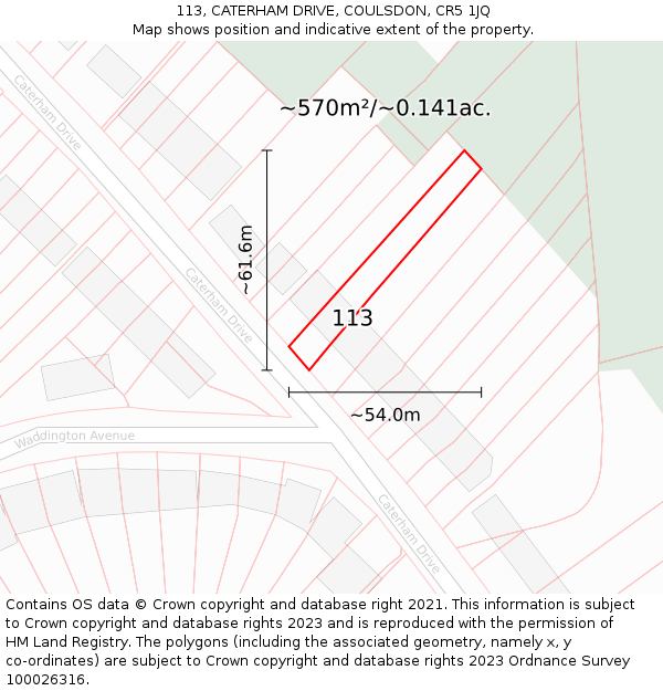 113, CATERHAM DRIVE, COULSDON, CR5 1JQ: Plot and title map