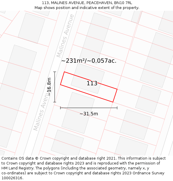 113, MALINES AVENUE, PEACEHAVEN, BN10 7RL: Plot and title map