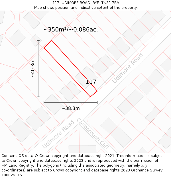 117, UDIMORE ROAD, RYE, TN31 7EA: Plot and title map