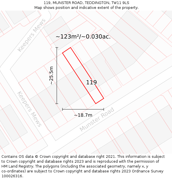 119, MUNSTER ROAD, TEDDINGTON, TW11 9LS: Plot and title map