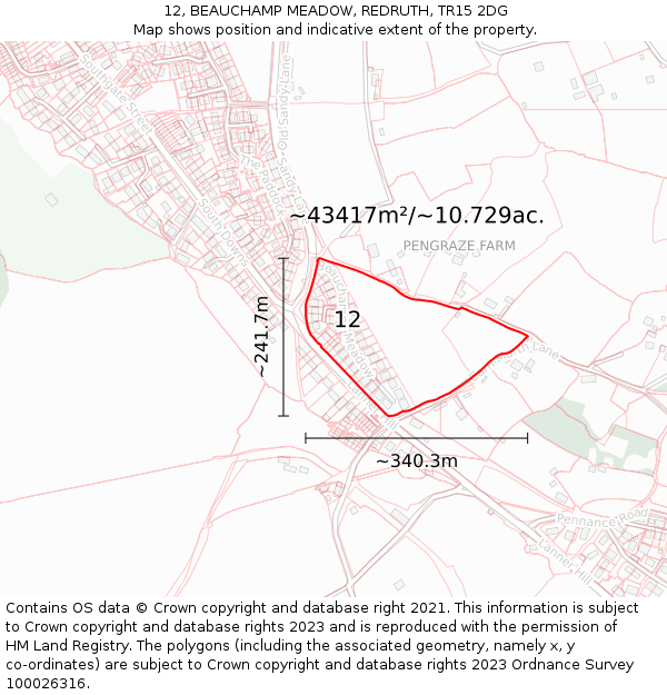 12, BEAUCHAMP MEADOW, REDRUTH, TR15 2DG: Plot and title map