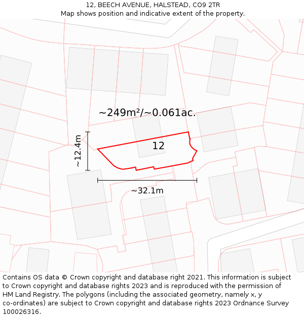 12, BEECH AVENUE, HALSTEAD, CO9 2TR: Plot and title map