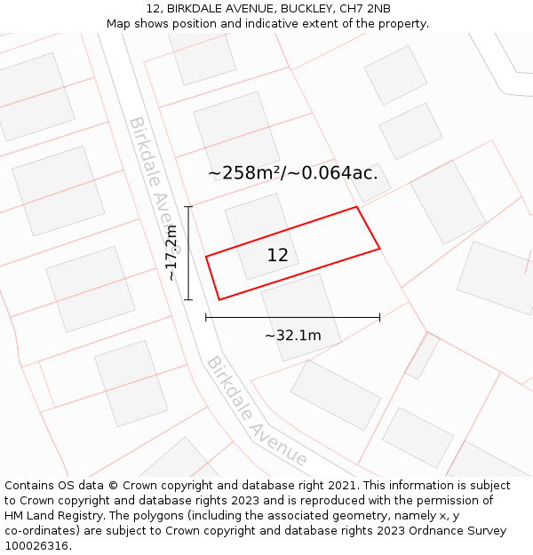 12, BIRKDALE AVENUE, BUCKLEY, CH7 2NB: Plot and title map