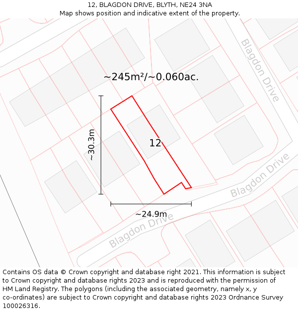 12, BLAGDON DRIVE, BLYTH, NE24 3NA: Plot and title map