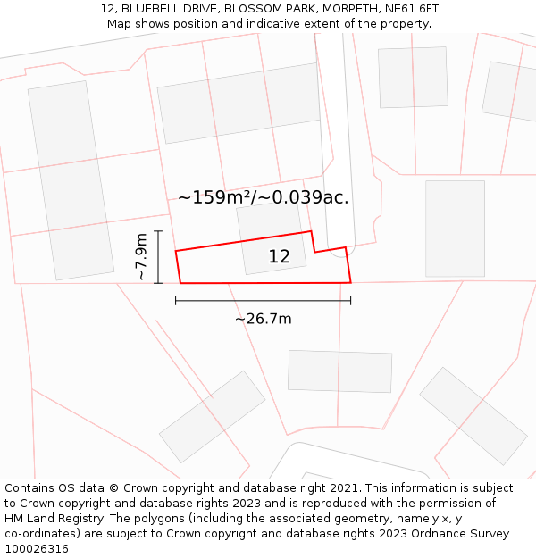 12, BLUEBELL DRIVE, BLOSSOM PARK, MORPETH, NE61 6FT: Plot and title map