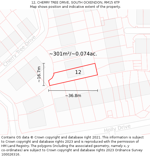 12, CHERRY TREE DRIVE, SOUTH OCKENDON, RM15 6TP: Plot and title map