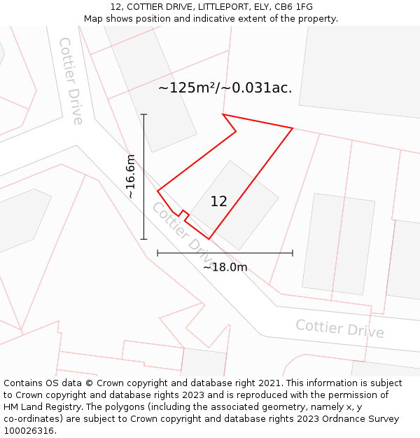 12, COTTIER DRIVE, LITTLEPORT, ELY, CB6 1FG: Plot and title map