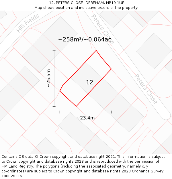 12, PETERS CLOSE, DEREHAM, NR19 1UF: Plot and title map