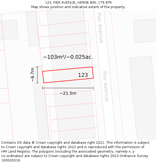 123, PIER AVENUE, HERNE BAY, CT6 8TR: Plot and title map