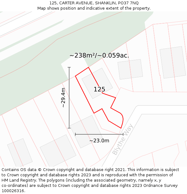 125, CARTER AVENUE, SHANKLIN, PO37 7NQ: Plot and title map