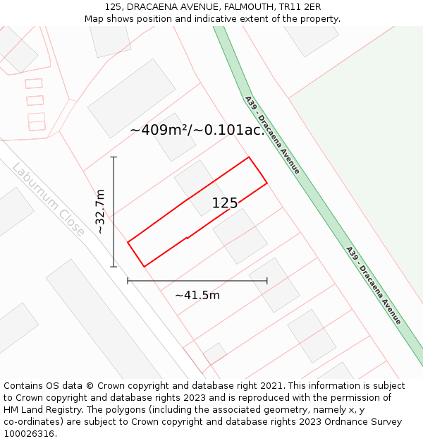 125, DRACAENA AVENUE, FALMOUTH, TR11 2ER: Plot and title map