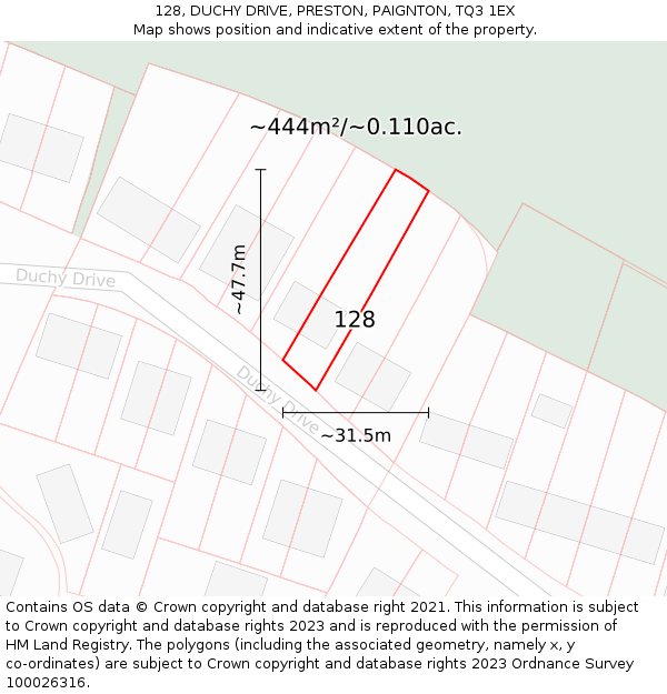 128, DUCHY DRIVE, PRESTON, PAIGNTON, TQ3 1EX: Plot and title map