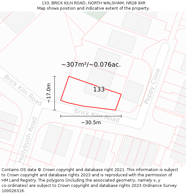 133, BRICK KILN ROAD, NORTH WALSHAM, NR28 9XR: Plot and title map