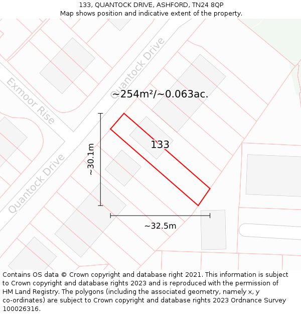 133, QUANTOCK DRIVE, ASHFORD, TN24 8QP: Plot and title map