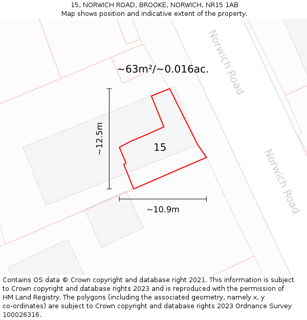 15, NORWICH ROAD, BROOKE, NORWICH, NR15 1AB: Plot and title map