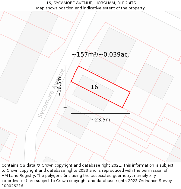 16, SYCAMORE AVENUE, HORSHAM, RH12 4TS: Plot and title map