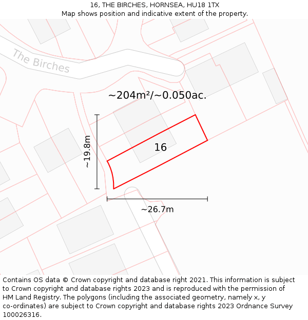 16, THE BIRCHES, HORNSEA, HU18 1TX: Plot and title map