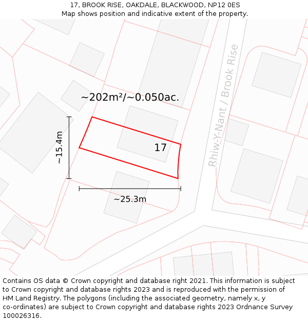 17, BROOK RISE, OAKDALE, BLACKWOOD, NP12 0ES: Plot and title map