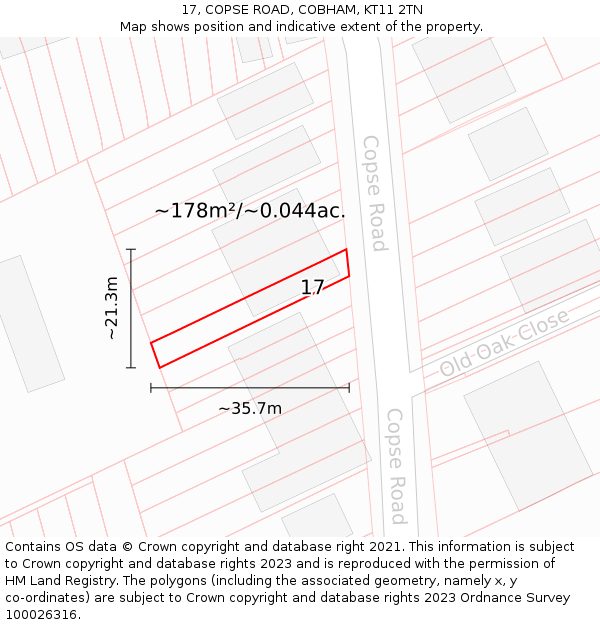 17, COPSE ROAD, COBHAM, KT11 2TN: Plot and title map