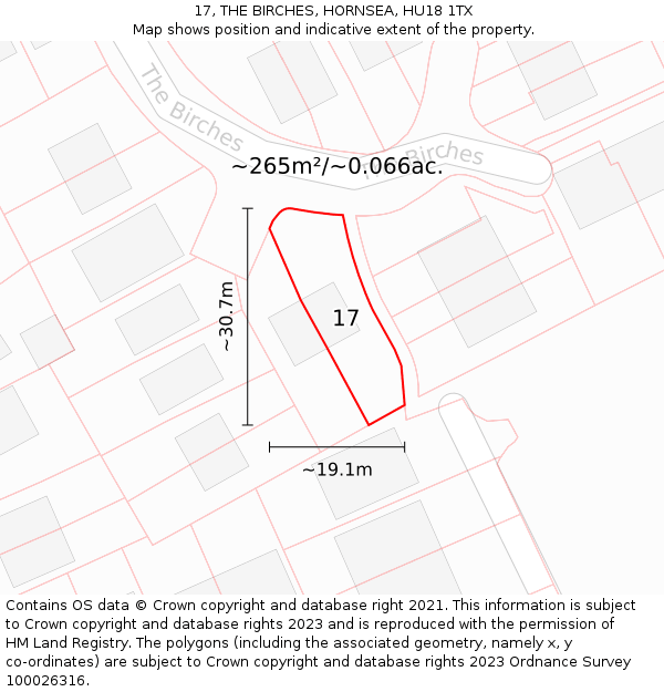 17, THE BIRCHES, HORNSEA, HU18 1TX: Plot and title map