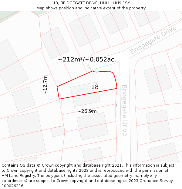 18, BRIDGEGATE DRIVE, HULL, HU9 1SY: Plot and title map