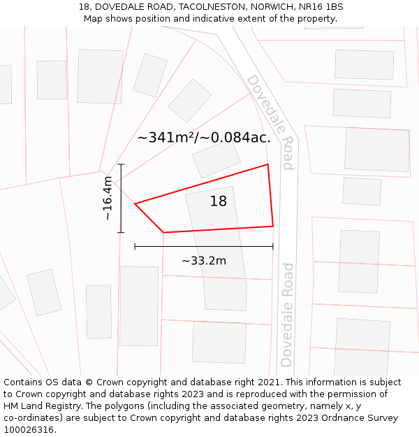 18, DOVEDALE ROAD, TACOLNESTON, NORWICH, NR16 1BS: Plot and title map