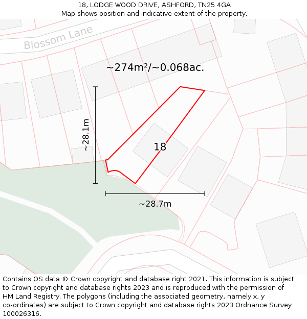 18, LODGE WOOD DRIVE, ASHFORD, TN25 4GA: Plot and title map