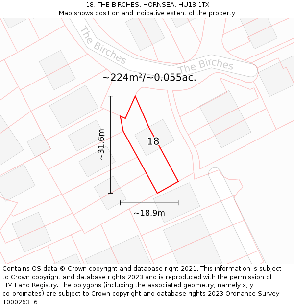 18, THE BIRCHES, HORNSEA, HU18 1TX: Plot and title map