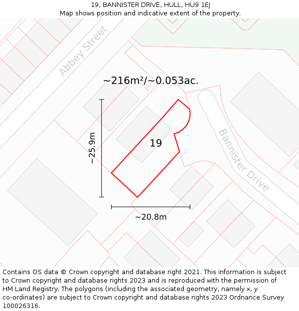 19, BANNISTER DRIVE, HULL, HU9 1EJ: Plot and title map