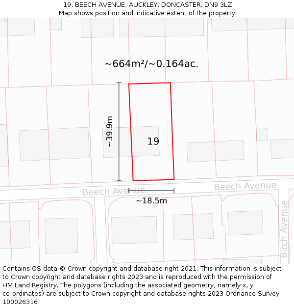 19, BEECH AVENUE, AUCKLEY, DONCASTER, DN9 3LZ: Plot and title map