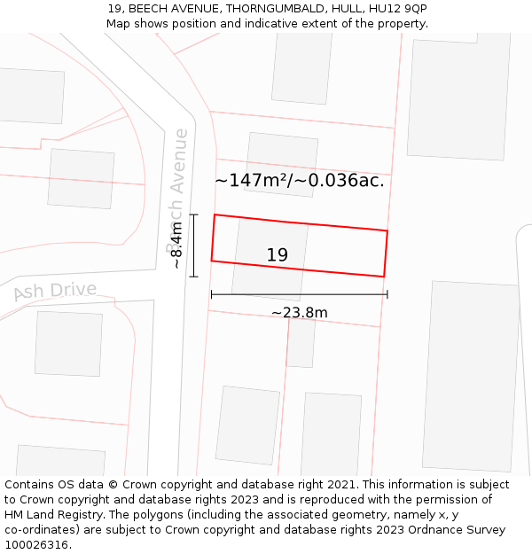 19, BEECH AVENUE, THORNGUMBALD, HULL, HU12 9QP: Plot and title map