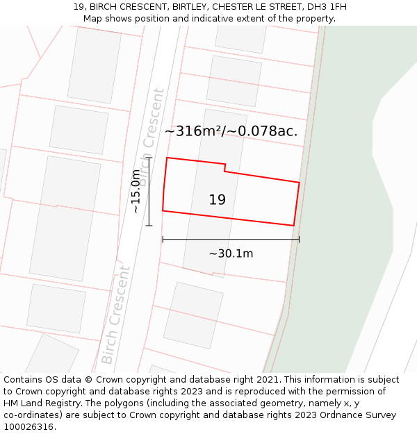 19, BIRCH CRESCENT, BIRTLEY, CHESTER LE STREET, DH3 1FH: Plot and title map