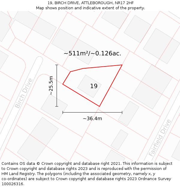 19, BIRCH DRIVE, ATTLEBOROUGH, NR17 2HF: Plot and title map