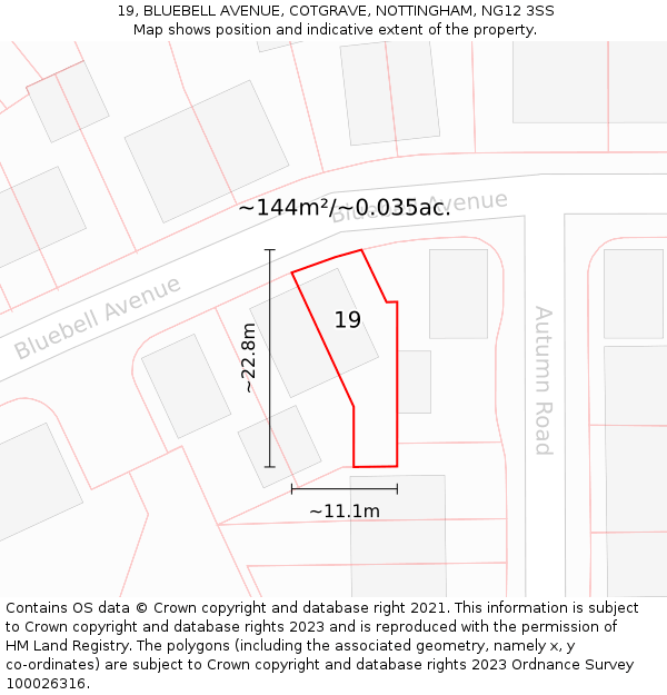 19, BLUEBELL AVENUE, COTGRAVE, NOTTINGHAM, NG12 3SS: Plot and title map