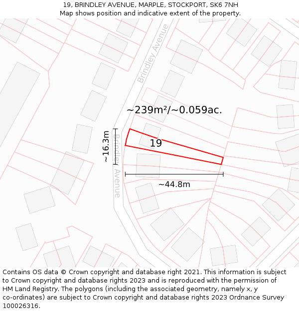 19, BRINDLEY AVENUE, MARPLE, STOCKPORT, SK6 7NH: Plot and title map