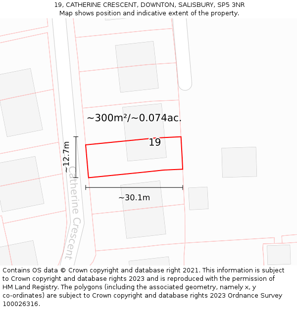 19, CATHERINE CRESCENT, DOWNTON, SALISBURY, SP5 3NR: Plot and title map