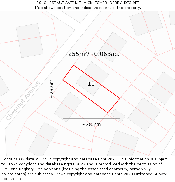 19, CHESTNUT AVENUE, MICKLEOVER, DERBY, DE3 9FT: Plot and title map