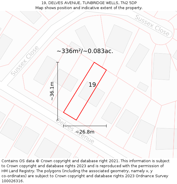 19, DELVES AVENUE, TUNBRIDGE WELLS, TN2 5DP: Plot and title map