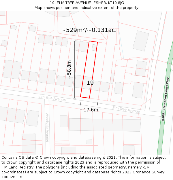 19, ELM TREE AVENUE, ESHER, KT10 8JG: Plot and title map