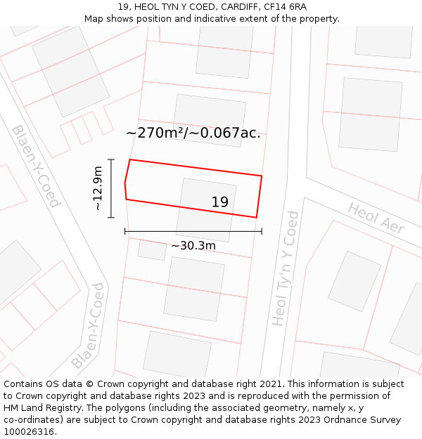 19, HEOL TYN Y COED, CARDIFF, CF14 6RA: Plot and title map