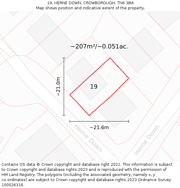 19, HERNE DOWN, CROWBOROUGH, TN6 3BA: Plot and title map