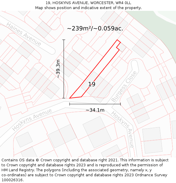 19, HOSKYNS AVENUE, WORCESTER, WR4 0LL: Plot and title map