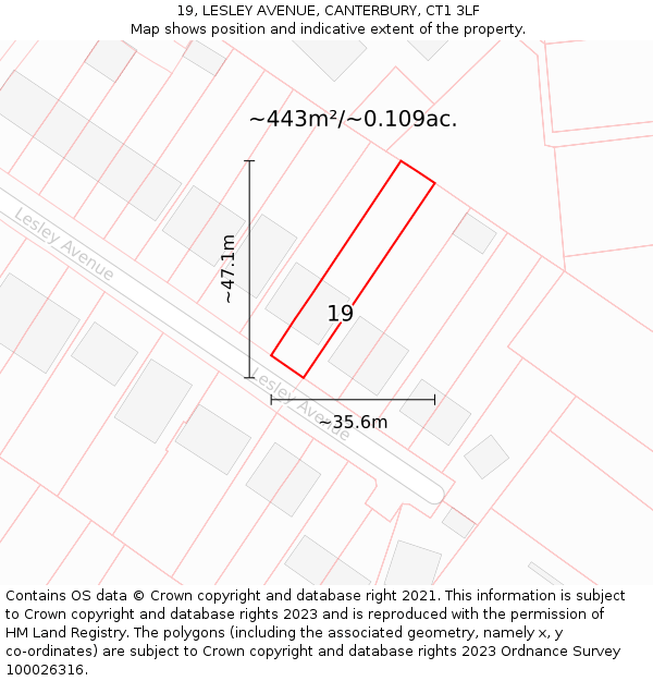 19, LESLEY AVENUE, CANTERBURY, CT1 3LF: Plot and title map