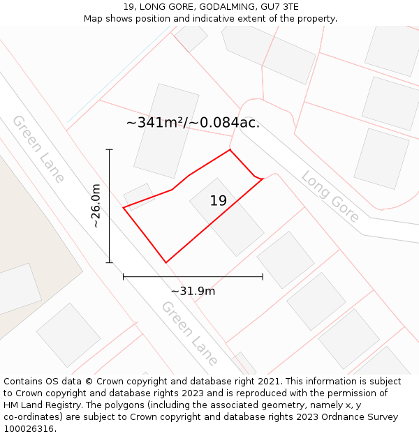 19, LONG GORE, GODALMING, GU7 3TE: Plot and title map