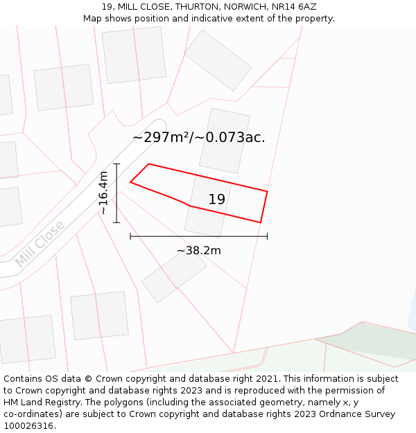 19, MILL CLOSE, THURTON, NORWICH, NR14 6AZ: Plot and title map