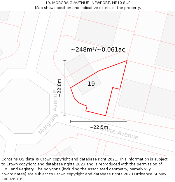 19, MORGRAIG AVENUE, NEWPORT, NP10 8UP: Plot and title map