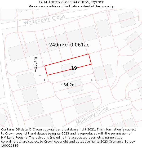 19, MULBERRY CLOSE, PAIGNTON, TQ3 3GB: Plot and title map