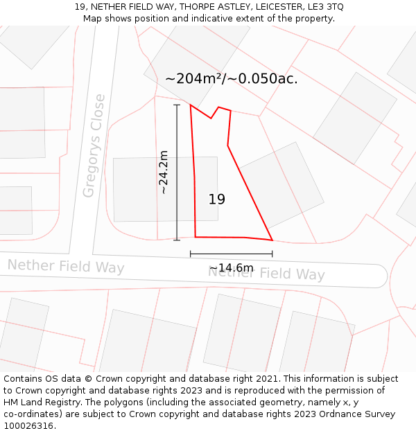 19, NETHER FIELD WAY, THORPE ASTLEY, LEICESTER, LE3 3TQ: Plot and title map