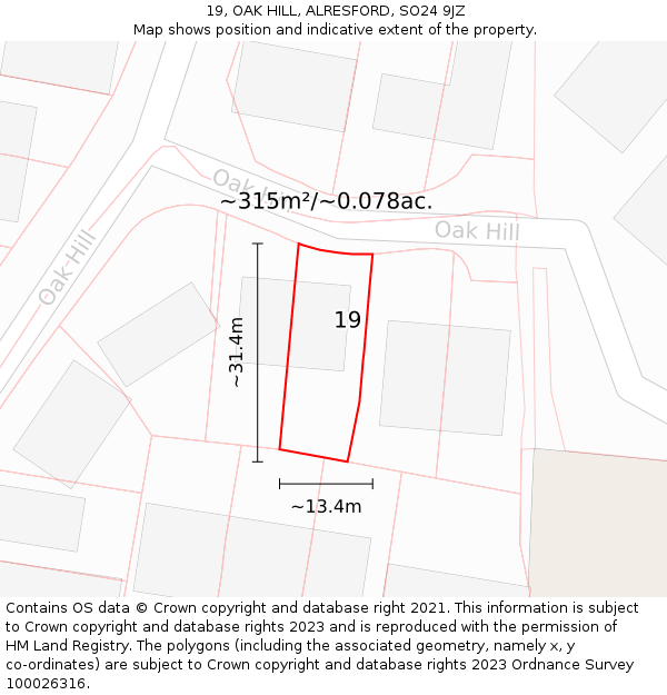 19, OAK HILL, ALRESFORD, SO24 9JZ: Plot and title map