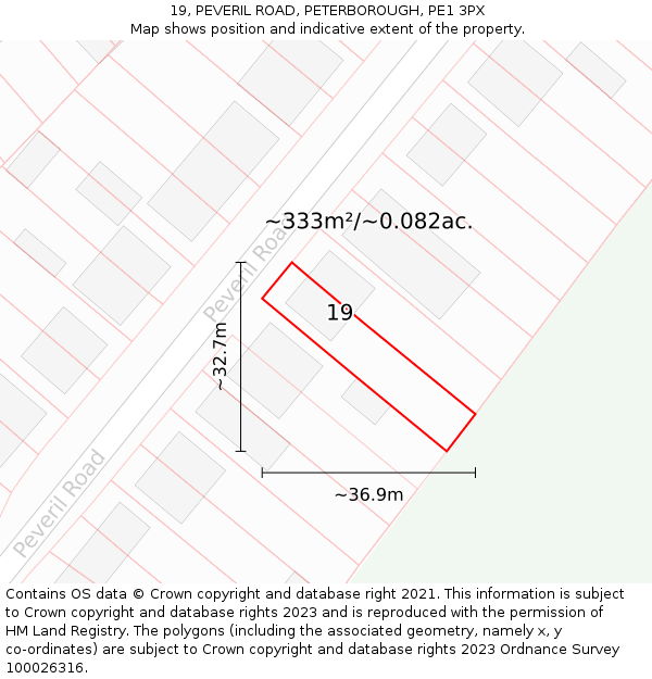 19, PEVERIL ROAD, PETERBOROUGH, PE1 3PX: Plot and title map